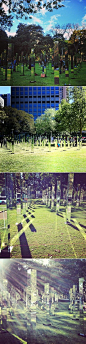 Maze Of Mirrors In A Sydney Park: 