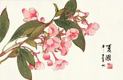 【插画师昔酒011的作品欣赏】
昔酒：别名：昔酒011，昔酒，零一一。插画师、绘本作者。湖南岳阳人，011是国内的一位古风插画家，同人画手，擅用水彩，水墨，手绘功底深厚扎实。从2009年开始在漫友《新蕾》等杂志发表插图、绘本等，长篇连载《突然之城》荣获第七届金龙奖最佳插画奖。为《古今传奇武侠杂志》，《九州志》等杂志画商稿，2012年6月毕业于北京电影学院动画学院。