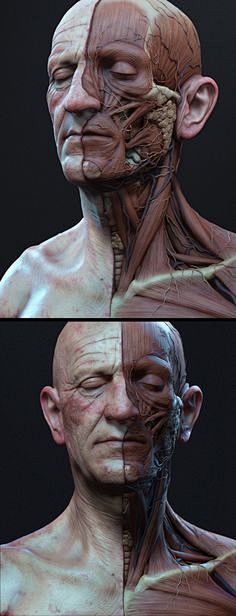 Ecorche by Adam Skut...