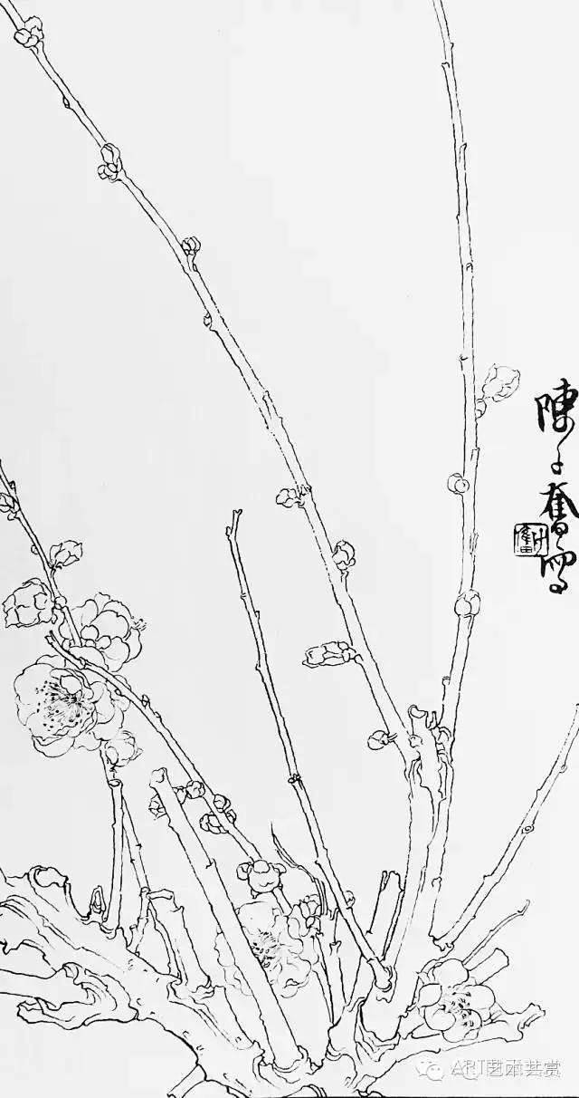 从白描到创作———陈子奋花鸟画合集