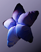 Behance 上的 Fun with fabrics - N°5 "STARFLOWER" ⭐