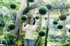 洪小漩采集到广西这座城市我是有点爱的