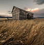 Blowin' in the Wind by Adrian C. Murray on 500px