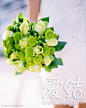 七色浪漫，绿捧花