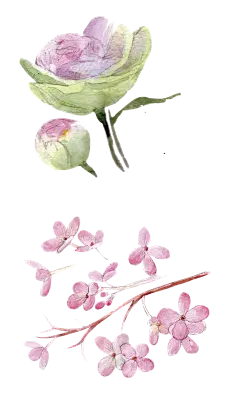 清新仿真手绘粉花卉婚礼贺卡请柬卡片背景PNG免扣