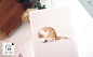 包邮信的恋人 明信片《像猫一样生活》30张卡片套装 喵星人-淘宝网