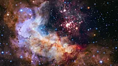 绚丽星空高清动态壁纸
https://www.macz.com/desk/1986.html?id=NzY4OTU4Jl8mMjcuMTg2LjEyNC40MQ%3D%3D