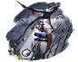 文件:爱缇升阶.png