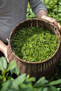 角落头设计采集到茶道