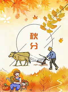 传统二十四节气秋分宣传海报模板