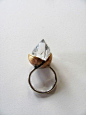 lauren passenti pod ring.