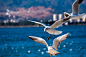 DSC_0124.jpg by ShuChong Wang on 500px