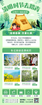 清明节旅游踏青活动长图