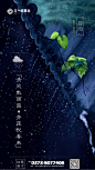 4.18谷雨