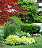 Simple and elegant combination of Siberian Iris, large Hosta and Japanese Forest Grass Kaaren Frantzen Garden Revolution