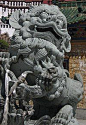 Snow Lion - Wikipedia