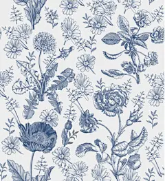 图源免费EPS文件 |感谢您 孤立的天芥菜亚麻花卉。婚礼请柬 巴洛克风格 美丽绽放的逼真花朵 复古卡片 绘图 雕刻框架 壁纸 矢量插图