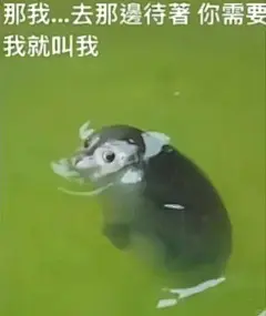 外贸人的表情包!可爱鼠啦 - 小红书