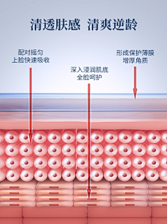 新物种采集到美业