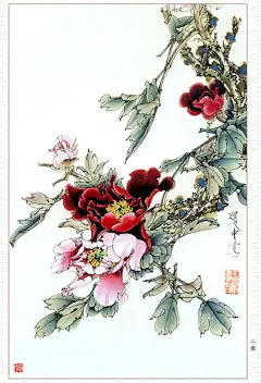 王道中工笔牡丹