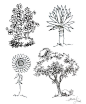 【20种植物的手绘速写技法】在最短的时间绘制出一个风景速写或景观设计图，20种植物的手绘速写技法能帮你在最快的时间内抓住灵感。#书画界# 3.2