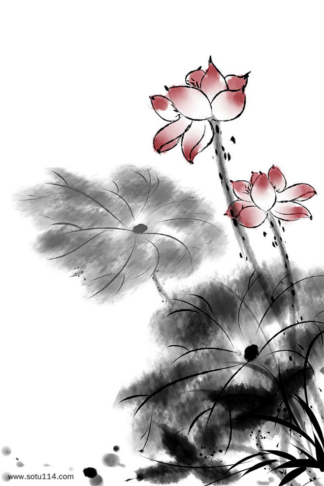 文雅美丽中国风荷花水墨画图片png免抠元...
