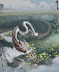 白龙戏水/Dragon