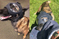 k9helmets狗子战术头盔 [doge] 来自漫画家-那个黄同学 - 微博