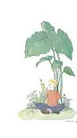 手绘