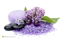 SPA鹅卵石和紫丁香摄影背景桌面壁纸图片素材