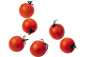 小番茄 西红柿 小毛辣