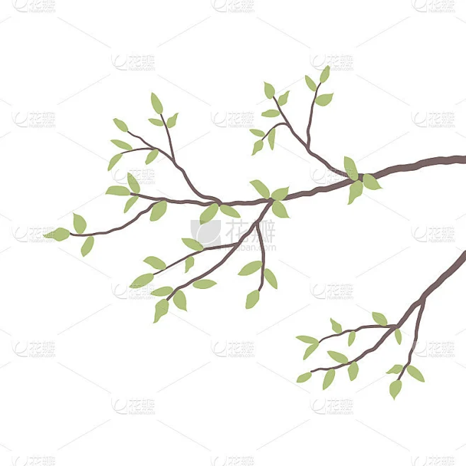 一棵长着绿叶的树的树枝素材-花瓣网