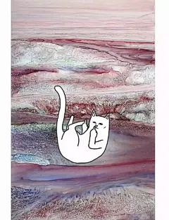 壁池 | 这只魔性的中指猫不拿来做壁纸真的是浪费了！_时尚_第一热点-Diyiredian.com