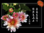 哈哈的空间 [http://2468916517.qzone.qq.com]