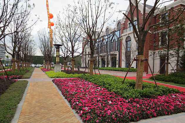时花展示区