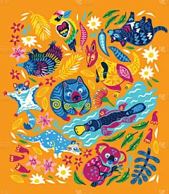 可爱的,华丽的,动物,澳大利亚,野生动物,壁纸,袋鼠,鹦鹉,布置