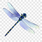 手绘飞翔蜻蜓素材不规则图形PNG图片➤来自 PNG搜索网 pngss.com 免费免扣png素材下载！