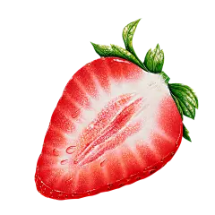 草莓