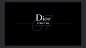 Diorskin Forever02.png