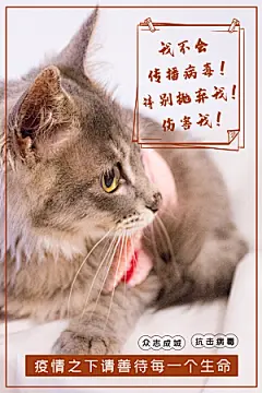 宠物店海报宣传招聘设计单页传单