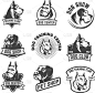 狗,商店,中心,分离着色,白色,宠物,纯种犬,猫,训练