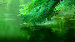 我是【127】采集到PS创意特效图