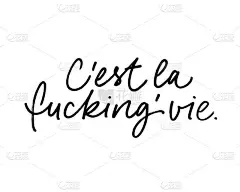 C ' est la ' vie 矢量画笔书法。法语和英语单词的组合.