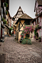 Cobblestone Street, Eguisheim, France 
photo via susanna
