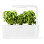 Click & Grow - Click & Grow Smart Herb Garden Starter Kit, White Lid - The Smart Herb Garden starter kit grows fresh culinary herbs and greens for you automatically - no gardening experience or backyard required! The kit includes an LED grow light