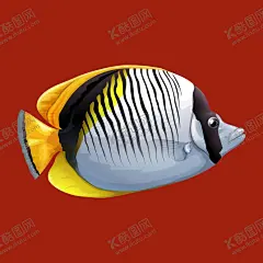 手绘热带鱼 【酷图网】手绘热带鱼,热带鱼,手绘鱼,热带鱼素材,金鱼