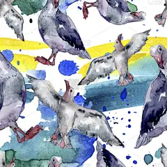 野生鸟类海鸥。野生自由,有飞翔翅膀的鸟。水彩插图集。水彩画时尚水瓶座。无缝的背景模式。织物壁纸打印纹