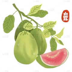 【微商】白露节气场景专题