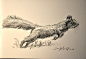 狮鸢SONNY  的插画 JUMP！