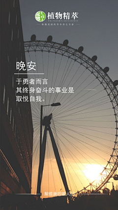 义乌微步采集到聚雅康·植物精萃敷包